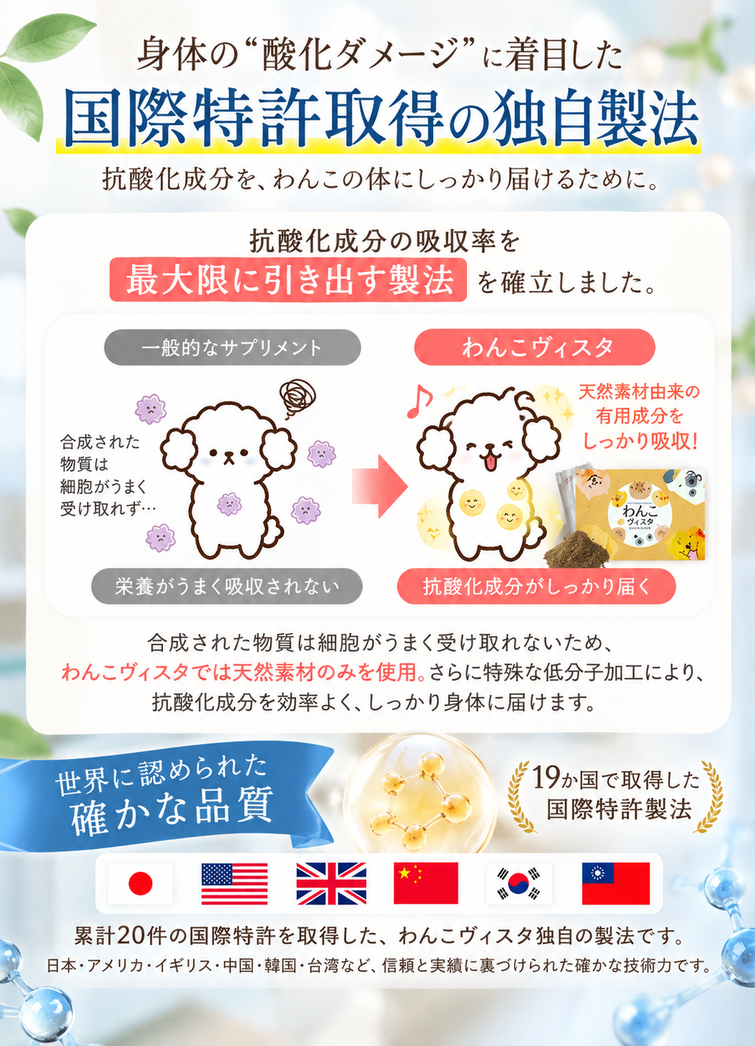 わんこヴィスタの国際特許製法