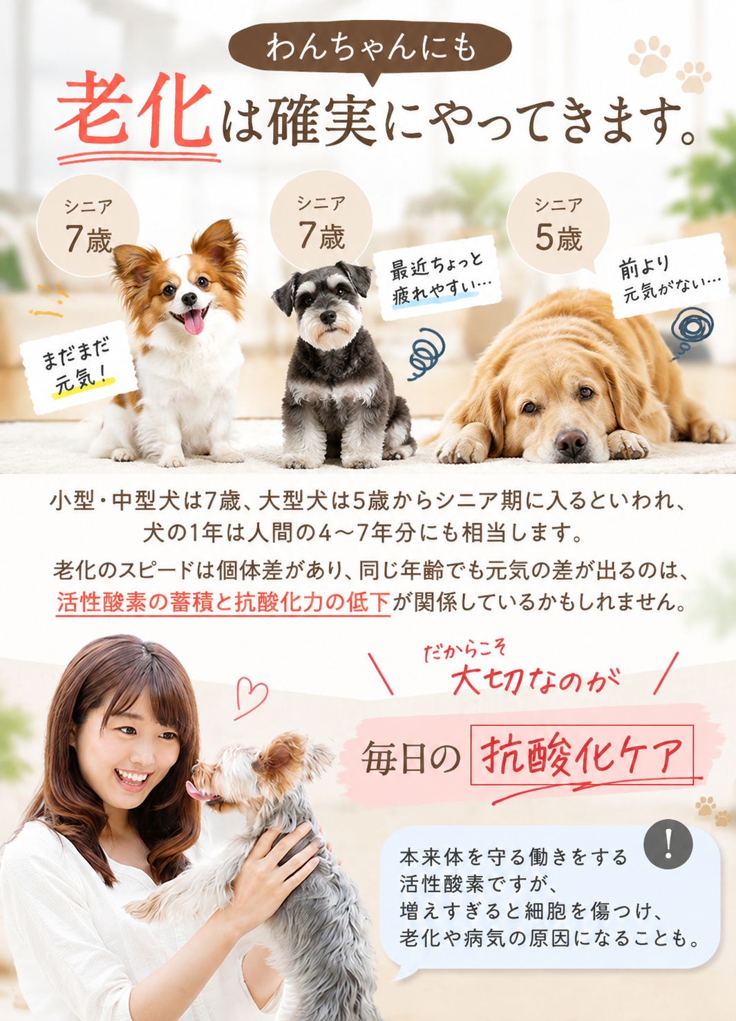 わんちゃんの老化と抗酸化ケア