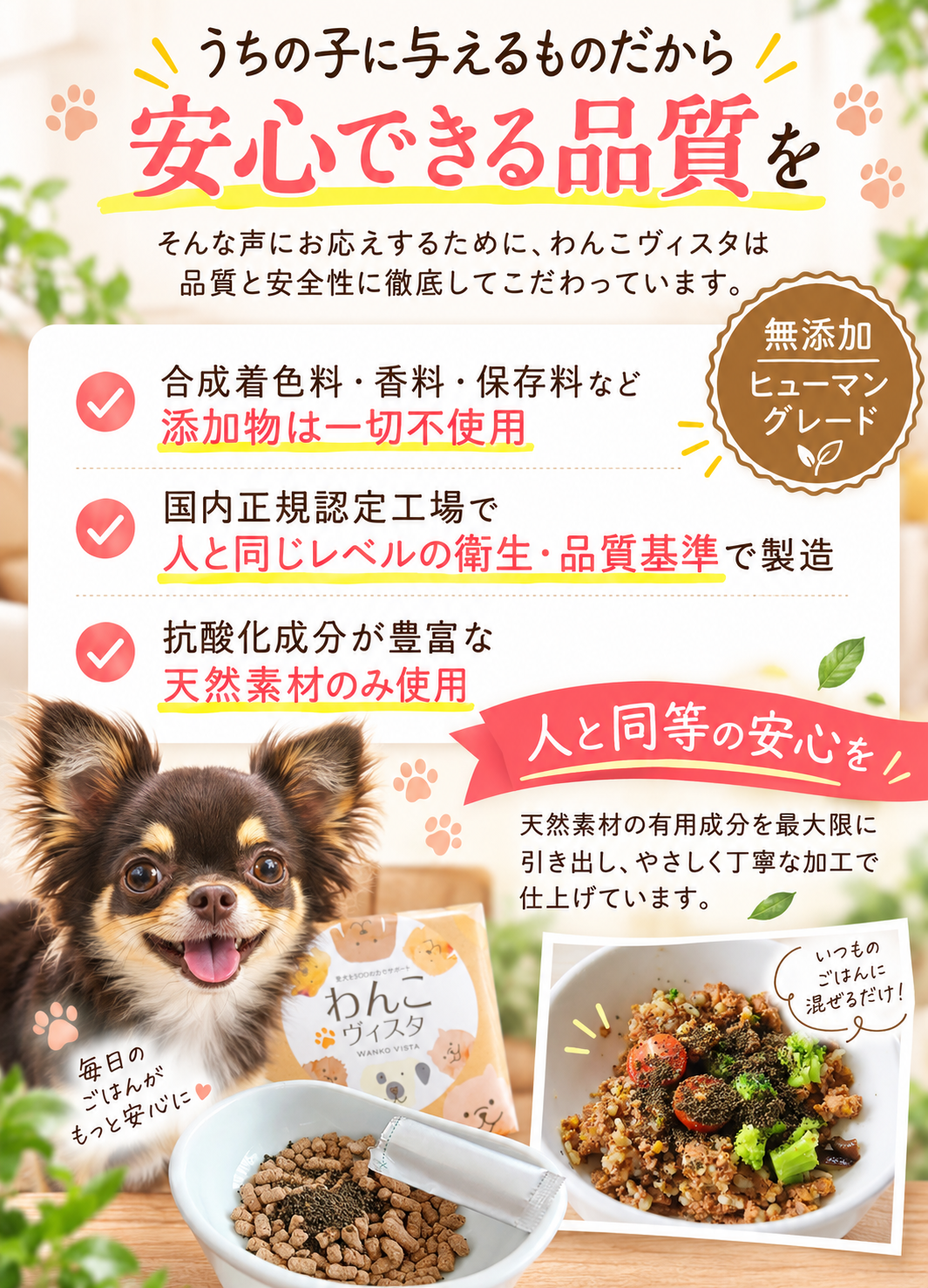 安心品質のわんこヴィスタ