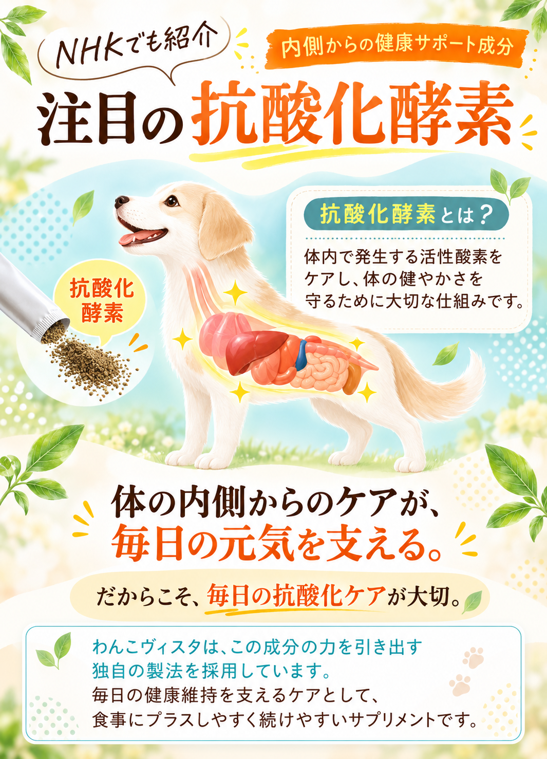 愛犬の毎日を支える抗酸化ケア