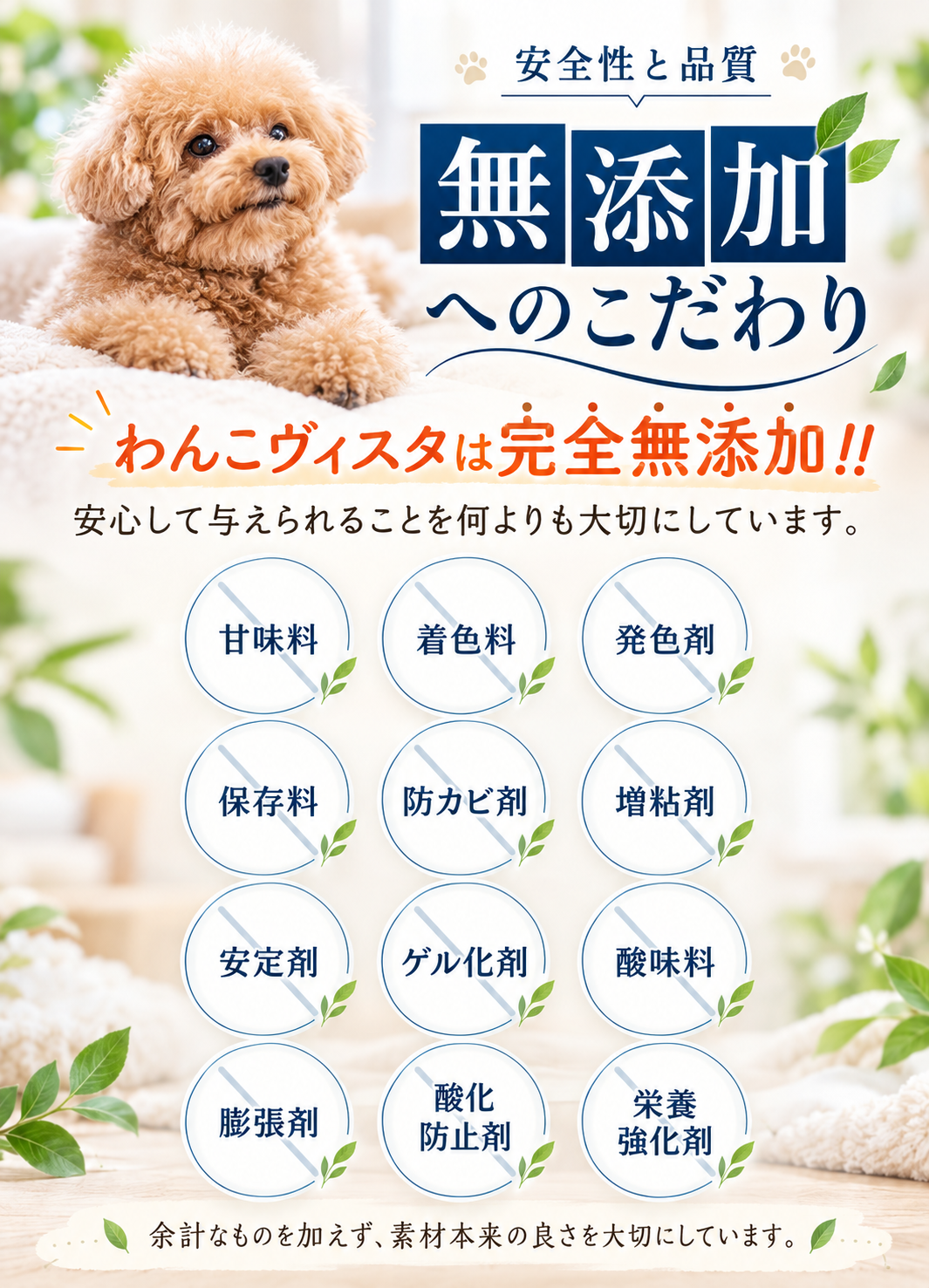 無添加にこだわる、わんこヴィスタ