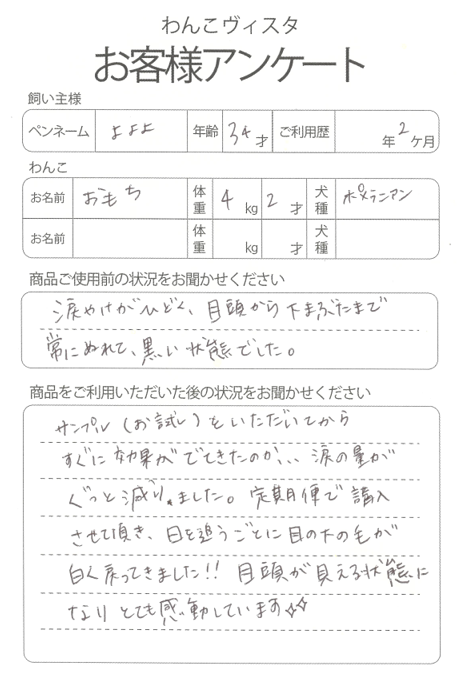 おもちちゃん