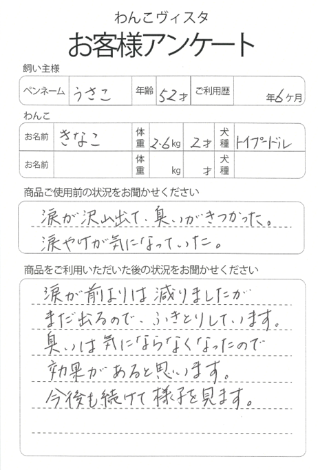 きなこちゃん