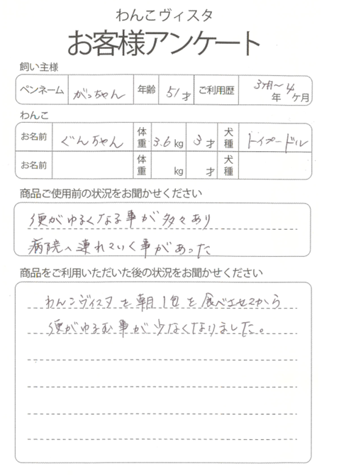 ぐんちゃん