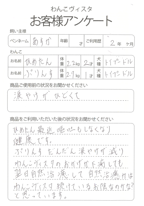 ひめたん＆ぷりんすちゃん