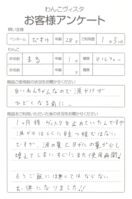 まるちゃん