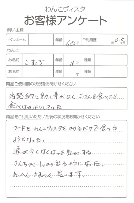 こむぎちゃん