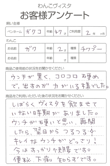 ガクちゃん(便)
