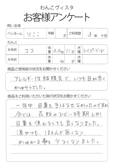 ココちゃん