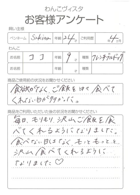 ココちゃん(フレブル)