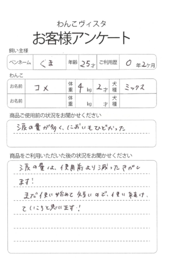 コメちゃん