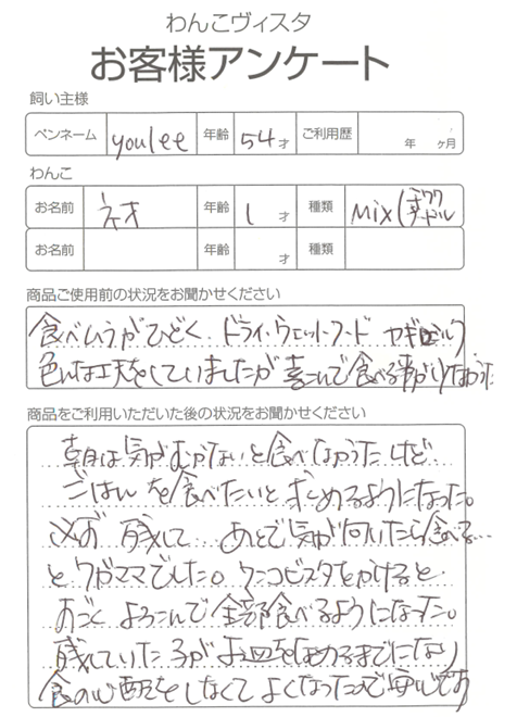 ネオちゃん