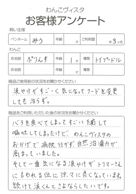 ぷりんすちゃん