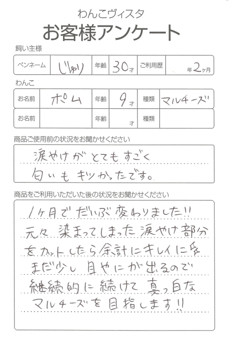 ポムちゃん