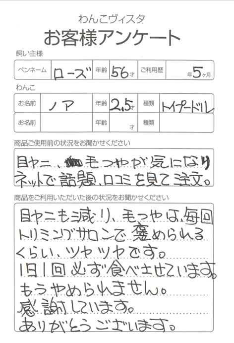 ノアちゃん