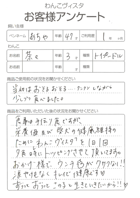 茶々ちゃん