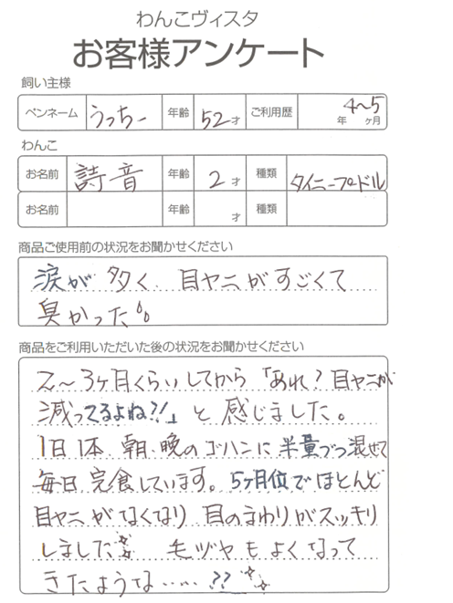 詩音ちゃん