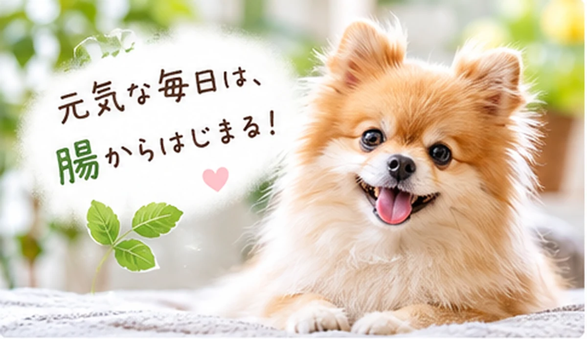 犬の腸活・腸内環境に関する健康コラム