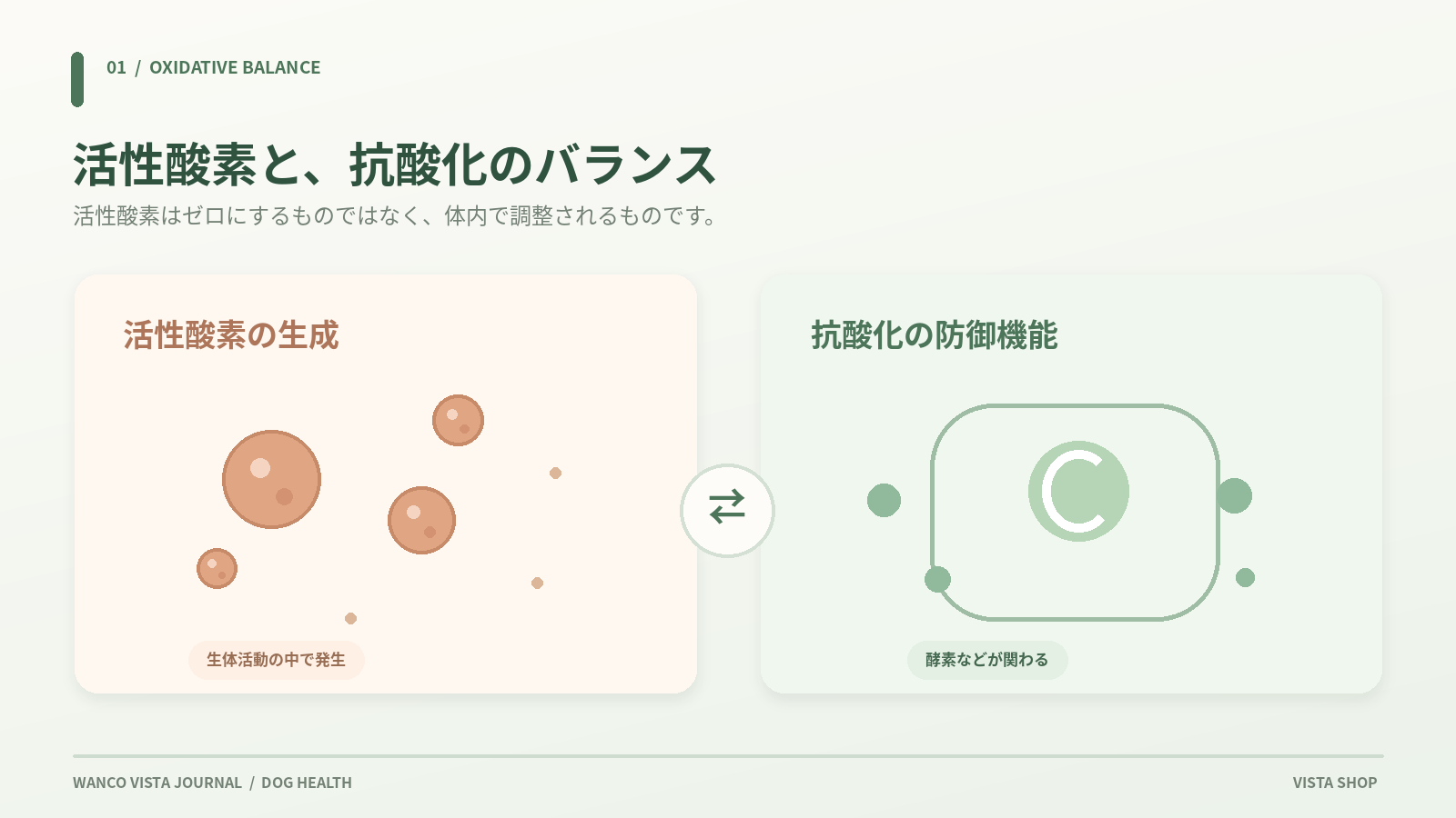 活性酸素と抗酸化のバランスの図解