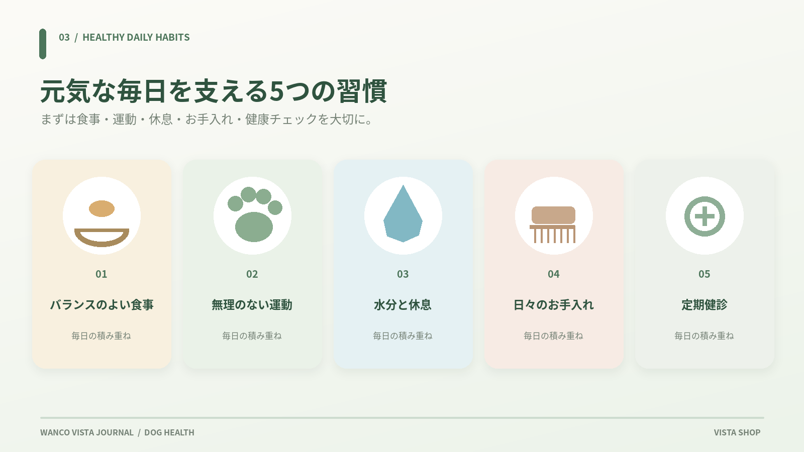 愛犬の5つの健康習慣の図解
