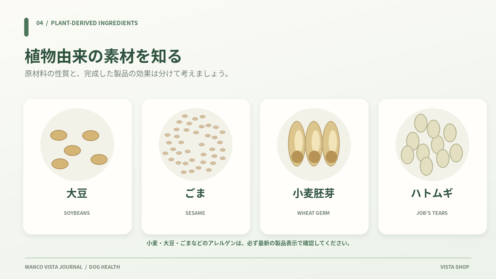 大豆・ごま・小麦胚芽・ハトムギの図解