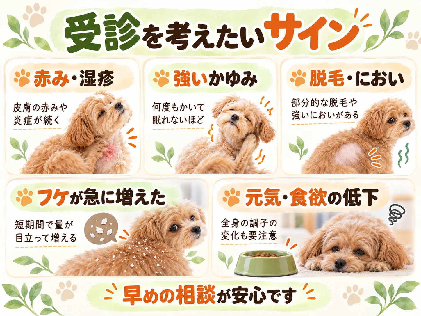 フケと一緒に見逃したくない赤み・かゆみ・脱毛などの受診サイン