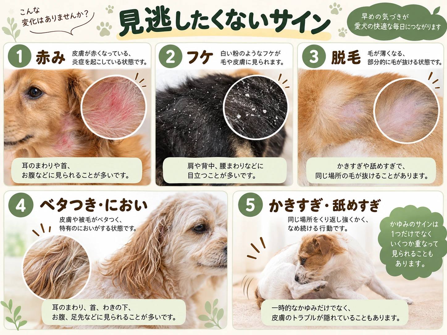 犬の皮膚に出る赤み、フケ、脱毛、べたつき、かきすぎの5つの注意サインを比較した図解