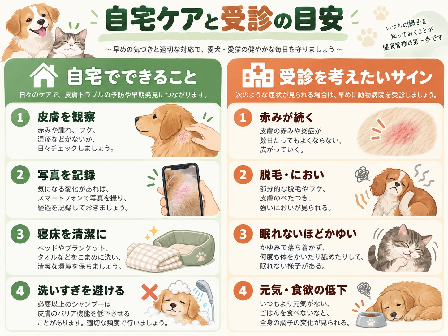 愛犬の皮膚の観察、記録、寝床の清潔、洗いすぎを避けることと受診の目安をまとめた図解